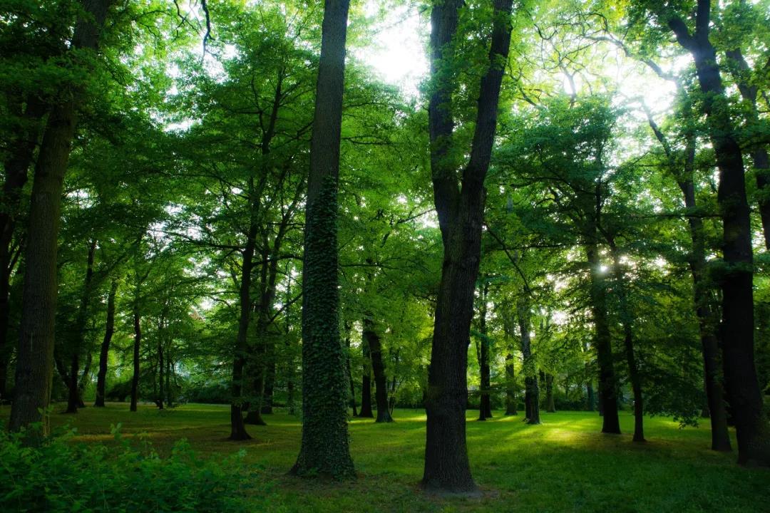 EBET易博·(中国区)官方网站