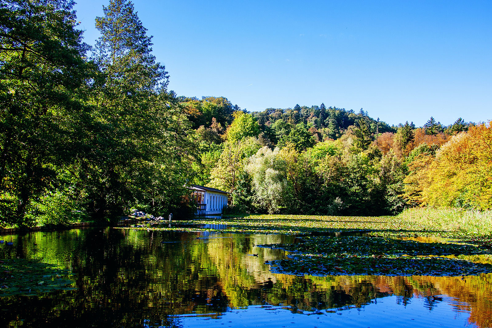 EBET易博·(中国区)官方网站