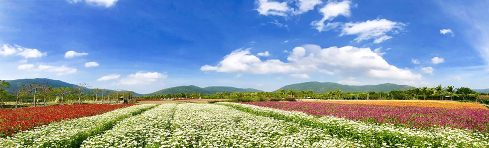 EBET易博·(中国区)官方网站